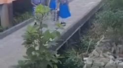 Miris! Siswa SDN 2 Sanggau Jadi “Kuli” Angkut Makan Bergizi Gratis, Netizen: Petugasnya Mana?