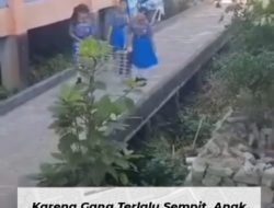 Miris! Siswa SDN 2 Sanggau Jadi “Kuli” Angkut Makan Bergizi Gratis, Netizen: Petugasnya Mana?